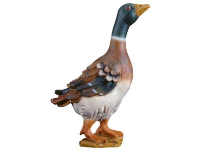 Ul. Ente stehend color